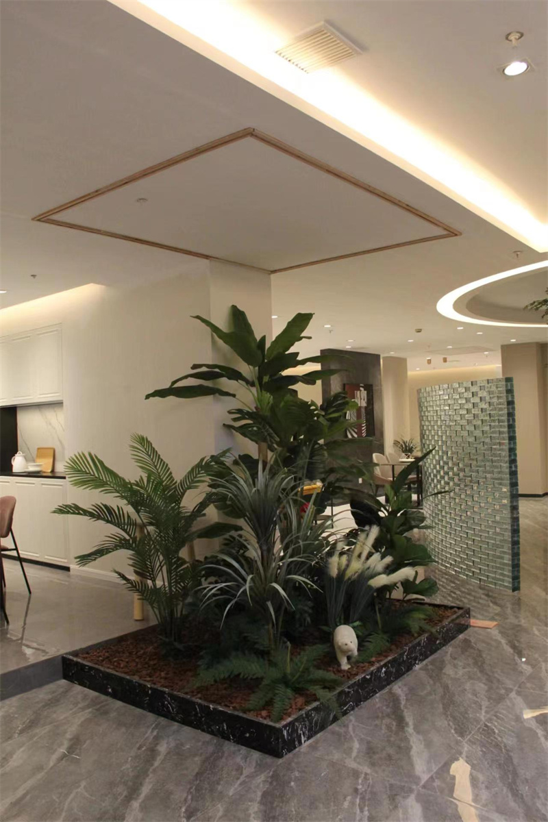 微景观植物造景