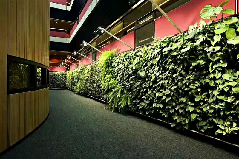 垂直绿化