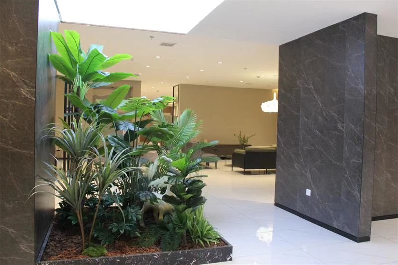 微景观植物造景