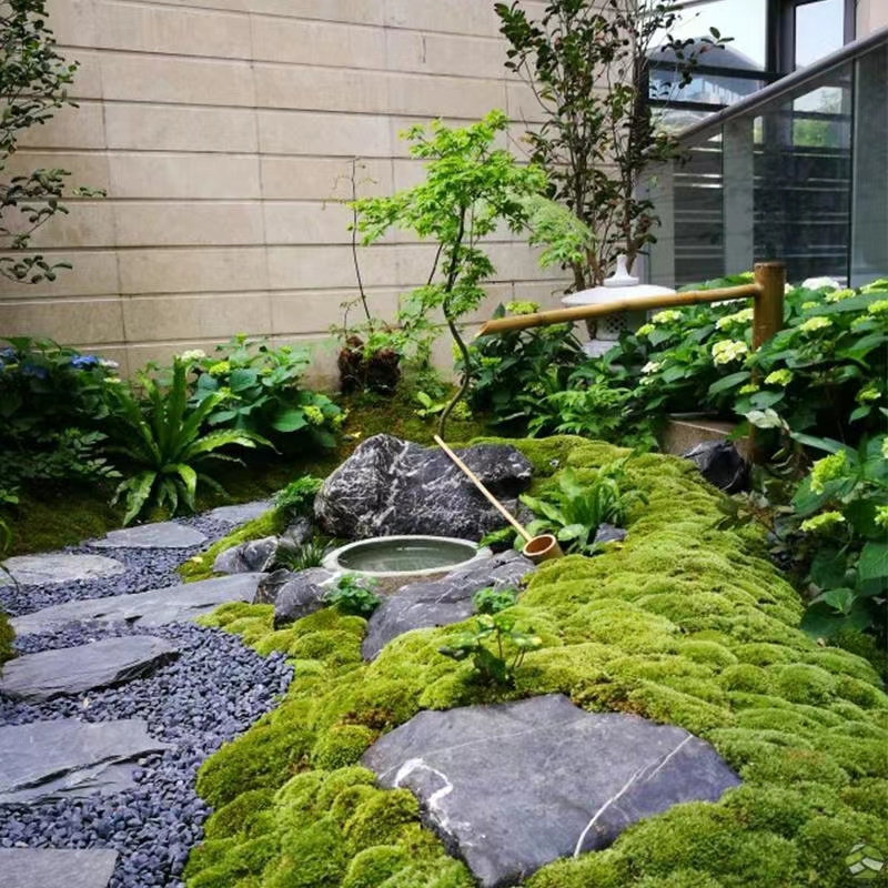 微景观植物造景