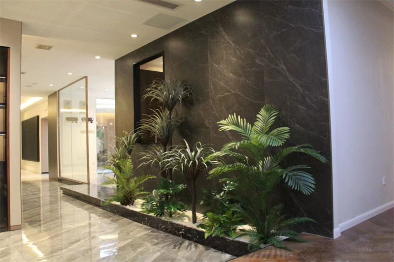 微景观植物造景