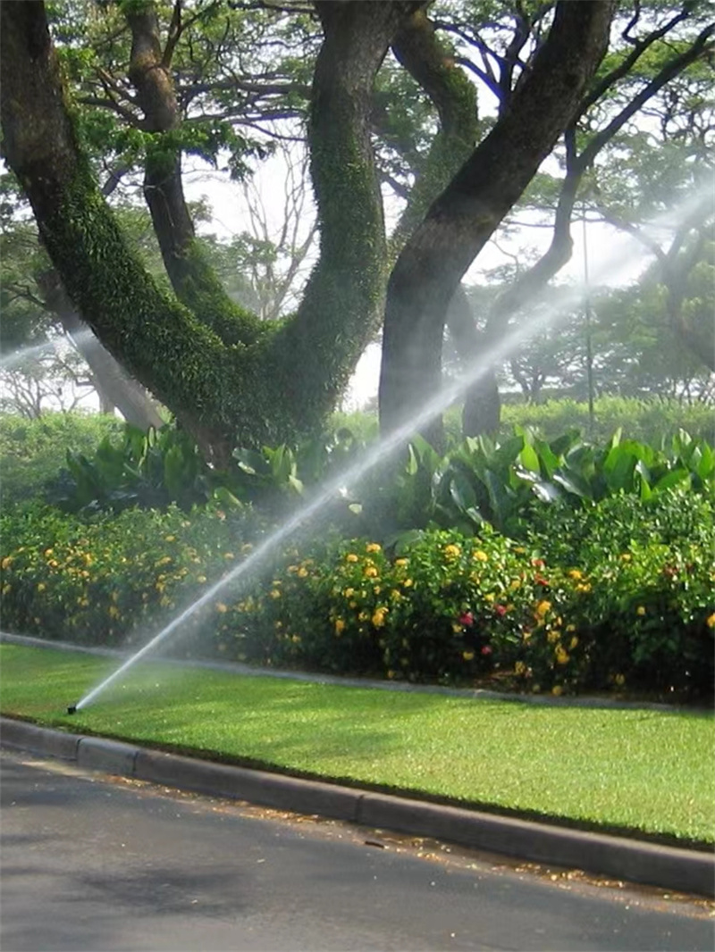 草皮喷灌
