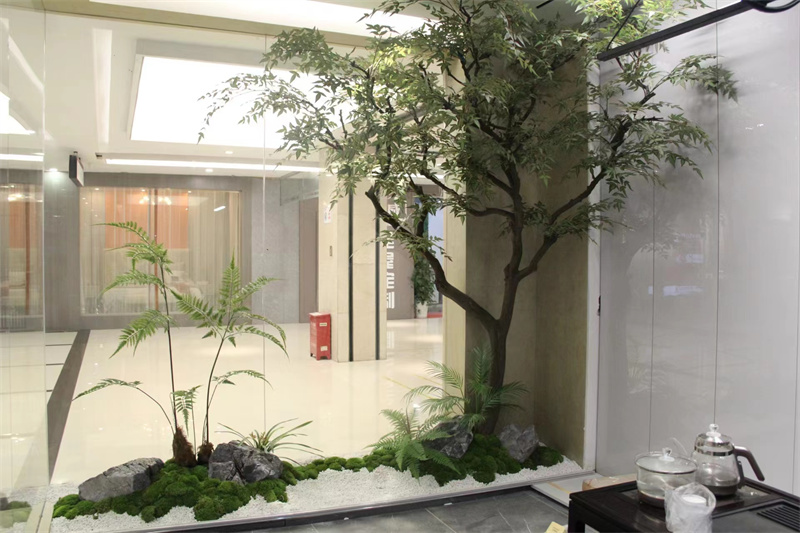 微景观植物造景