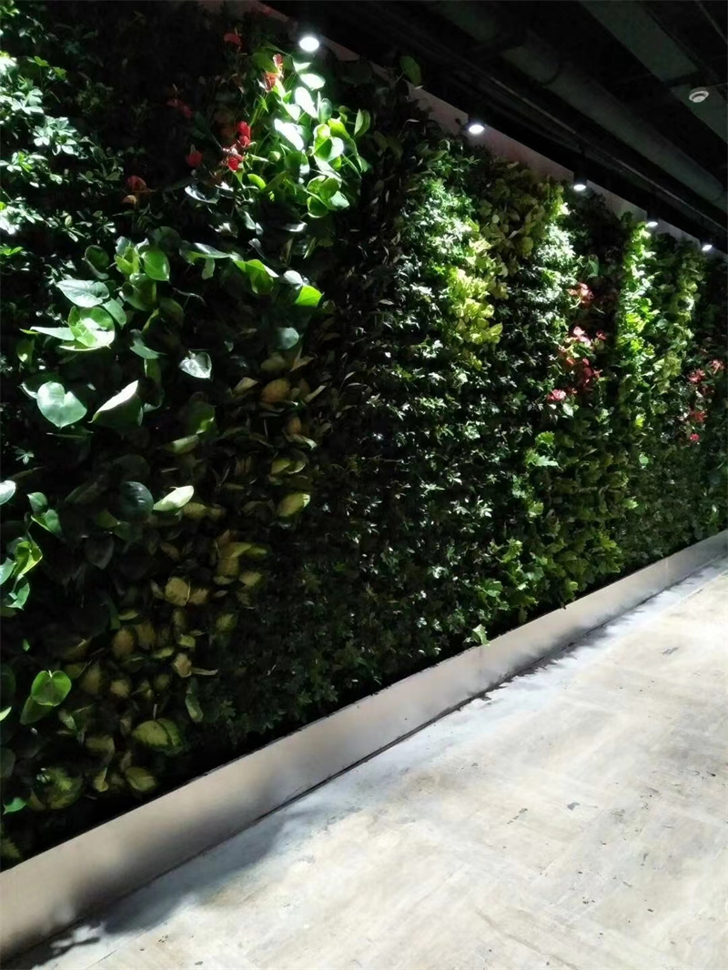 垂直绿化
