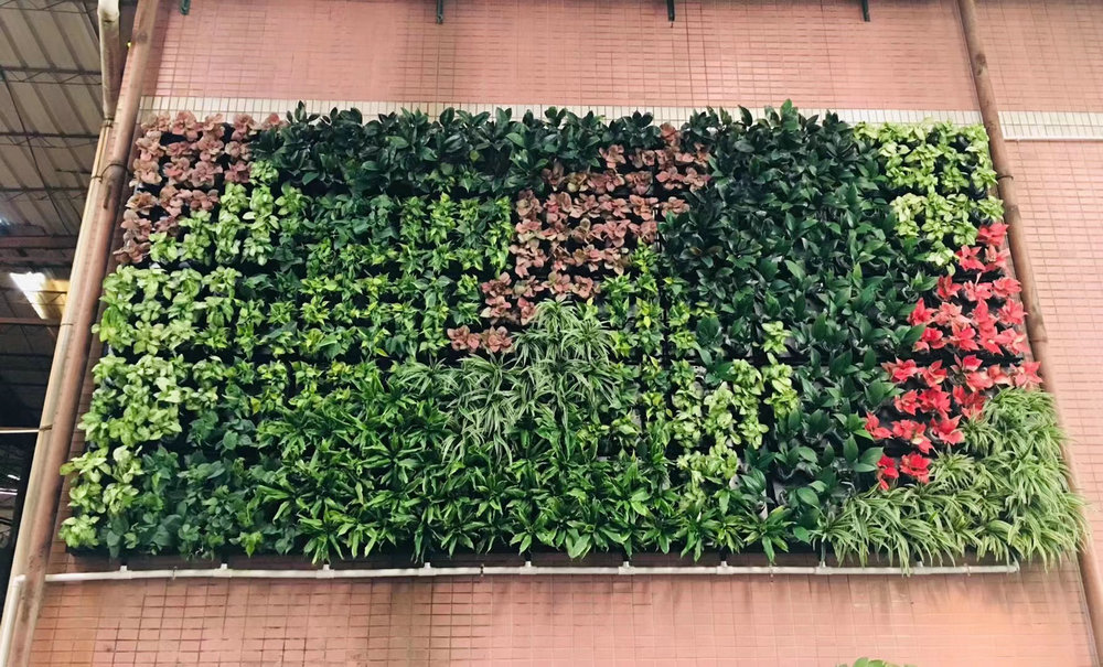 植物墙