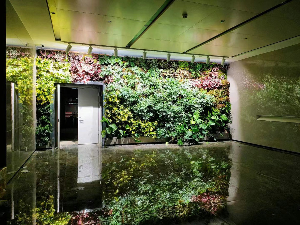 植物墙