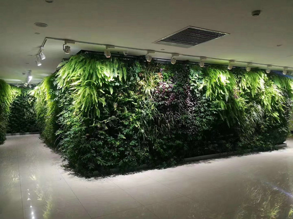 植物墙