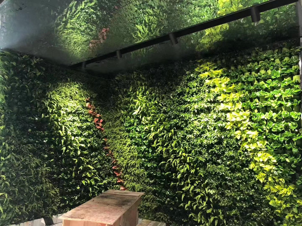 植物墙